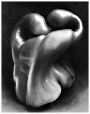 fotorevista desnudos artisticos