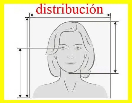 Fotografias carnet - tamaño de foto carnet- dimensiones foto carnet