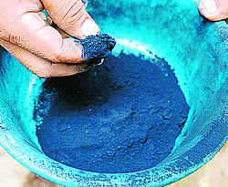 the indigo colour in fabric dyeing
