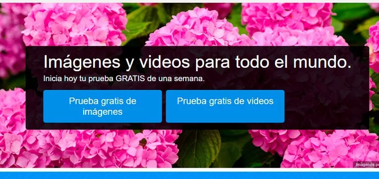 agencia de imágenes de stock de fotos